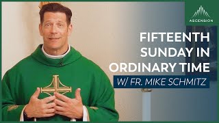 Fifteenth Sunday in Ordinary Time  Mass with Fr Mike Schmitz [upl. by Gal]