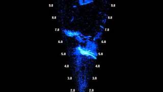 Sound Metrics Didson Sonar Divers [upl. by Yelyr87]