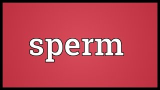 Sperm Meaning [upl. by Olenolin]