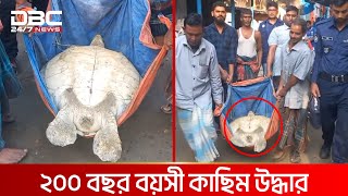 ৭১ কেজি ওজনের কাছিমটি খেতে চেয়েছিল তারা  DBC NEWS Special [upl. by Mapes]