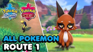 Pokemon Sword amp Shield  All Route 1 Pokemon You Can Catch [upl. by Seamus]