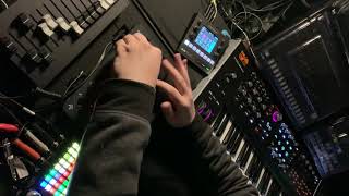 Minimal House Jam  Hydrasynth Blackbox ZOIA Skulpt [upl. by Ydde]