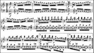 Beethoven  Diabelli Variations Op 120 Grigory Sokolov [upl. by Melina]