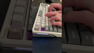 Akko Lavender Tactile Switches  ilovbee B87 TKL  Typing Test [upl. by Franckot]