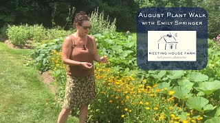 Plant Walk at Meeting House Farm  August 2024 [upl. by Akenahs]