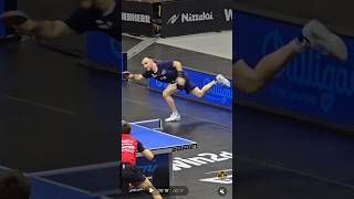 Simon Gauzy France and Andreas Levenko Austria Table Tennis at its best [upl. by Muire17]