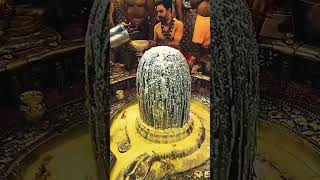 Mahadev Status shorts shortvideo mahadev sivji bholenath [upl. by Ognimod]