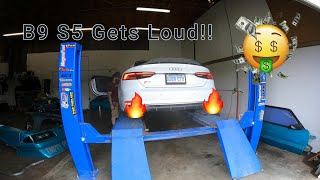 B9 Audi S5 Catless Downpipe Front Resonator Delete Mid Muffler Delete [upl. by Bruyn]