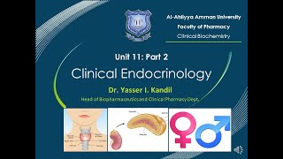 20 Clinical Endocrinology Part 2 by Dr Yasser Kandil [upl. by Aramoix]