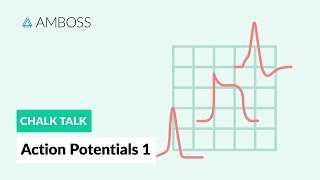 Action Potentials  Part 1 What is an Action Potential [upl. by Crawford481]