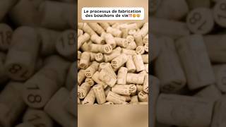 Le processus de fabrication des bouchons de vin‼️🤯🤯 bouchon wine plug découverte pourtoi fyp [upl. by Domonic]