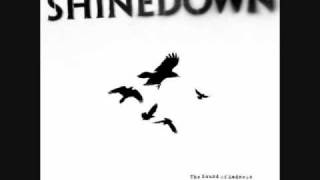 shinedown sounds of madness lyrics [upl. by Nnahs]