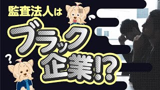 監査法人はブラック企業！？真実を全て話しました【公認会計士】 [upl. by Jany]