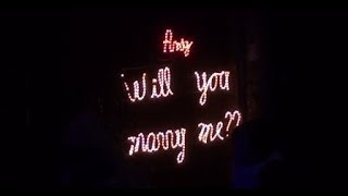 Marriage Proposal Flash Mob Jason Derulo  Marry Me at Oregon Zoolights [upl. by Ronnica762]