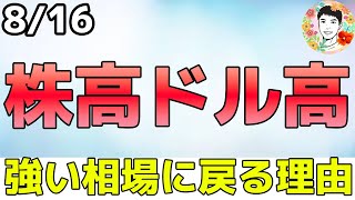 相場は強気へ⁉記録的な買い注文が株高を支える！【816 米国株ニュース】 [upl. by Harned]