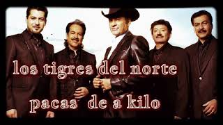 Los tigres del norte — pacas de a kilo ® [upl. by Wurtz]