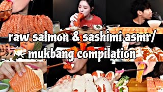 raw salmon amp sashimi asmrmukbang compilation [upl. by Free]