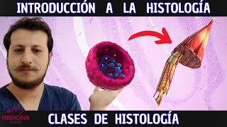 INTRODUCCIÓN a la HISTOLOGÍA CLASES de HISTOLOGÍA [upl. by Phillane319]