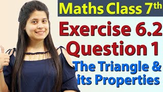 Q 1 Ex 62  The Triangle and its Properties  Chapter 6  Maths Class 7th  NCERT [upl. by Lenra]