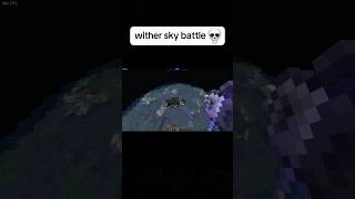 Minecraft Wither Moment [upl. by Trip]