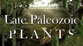 The Evolution of the late Paleozoic Plants [upl. by Ramunni]