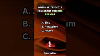 🍎 Are You a Nutrition Pro Test Your Knowledge nutrition quiz [upl. by Strang561]