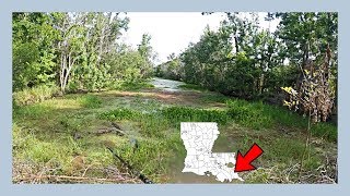 Catching HUGE Choupique Bowfin In The Louisiana Swamps [upl. by Naamana70]