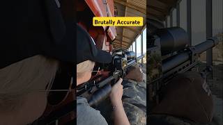 Brutally Accurate  FX Panthera  Best PCP Airguns in the world  FX Airguns fxairguns [upl. by Hudgens914]