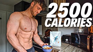 Full Day Of Eating 2500 Calories  Realistic amp Tasty Meals [upl. by Saitam757]