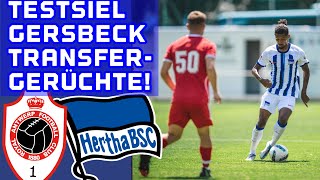 Antwerpen vs Hertha 10 Analyse Gersbeck Transfergerüchte um Piatek  Lukebakio  uvm [upl. by Vivyanne419]