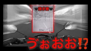 832「ターボなバイク」H2SXの年間維持費が高すぎてパパの財布がぶっ飛んだ⁉️😇 [upl. by Wong]