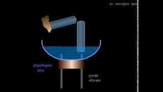 Electrolysis of Aq Acid  Animated Expt amp Explanation in BENGALI [upl. by Christianna]