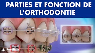 Appareil dentaire – Parties et fonction de l’orthodontie © [upl. by Ytissac]