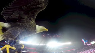 Challenger Soars at Philly Eagles Military Appreciation Game 2014 [upl. by Agnot]