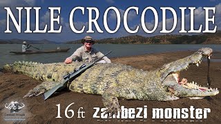 MASSIVE 16ft Nile Crocodile  Zambezi RiverMozambique [upl. by Lerrad]