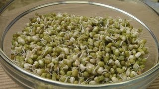 How to make Sprouts [upl. by English275]