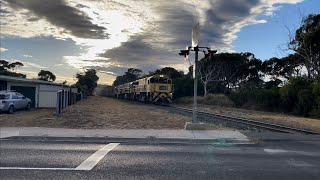 TasRail 2051 TR04 TR10 36 train Turners Beach Road [upl. by Eilyah268]