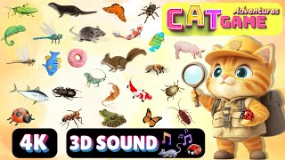 CAT Games Adventures  Ultimate Cat TV Compilation Vol 30  SPECIAL EPISODE 3 HOUR🐝🐞🦋🦎🦜🐜🐭🧵 NO ADS [upl. by Judson]