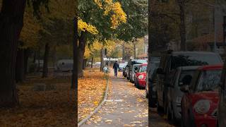 Autumn in Regensburg 🍁 [upl. by Emyam553]