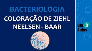 Coloração de Ziehl Neelsen Baciloscopia Microbiologia  Bio Aulas [upl. by Aihk]