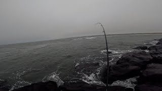 2024 September NJ Surf Fishing Mullet Run [upl. by Aiht]