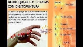 Desbloquear Los Chakras Con Digitopuntura [upl. by Feigin98]