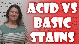 Acidic vs Basic Stains in Microbiology [upl. by Jeavons]