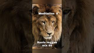 roots reggae mix 89 [upl. by Wilmer755]