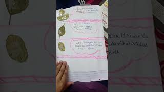 how to make herbarium file  science project  like share and subscribe [upl. by Deeas]