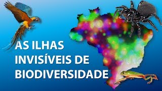 As Ilhas Invisíveis de biodiversidade [upl. by Leamiba233]