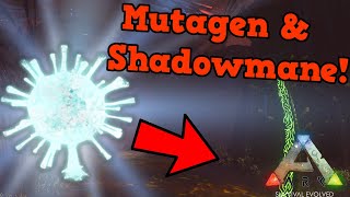 How to Gather Mutagel the Correct Way amp Shadowmane Tame  ARK Survival Evolved Genesis 2 DLC [upl. by Surazal]