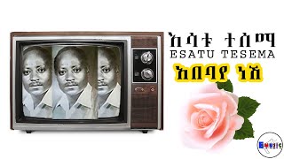 Esatu Tesema Abebaye Neshi እሳቱ ተሰማ አበባየ ነሺ DawitTsige [upl. by Ashlen]