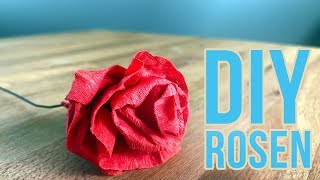 Rosen Geschenk  Krepppapier Blumen basteln DIY  Valentinstag Muttertag [upl. by Castle]