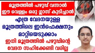 മൂത്രത്തിൽ പഴുപ്പിന്റെ ലക്ഷണങ്ങൾ ഇതൊക്കെയാണ്  ഈ കാര്യങ്ങൾ ശ്രദ്ധിച്ചാൽ മതിmoothrathil pazhupp [upl. by Brewster]